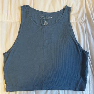 American Eagle Outfitters Blue Crop Top